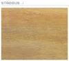 IMOLA  - STROBUS - Glazovaná slinutá dlažba imitace dřeva, | STROBUS 161S-16,5x100x1,1RT - 2/6